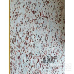 湛江水磨石施工隊(duì)與天津環(huán)氧地坪漆施工的專業(yè)解析